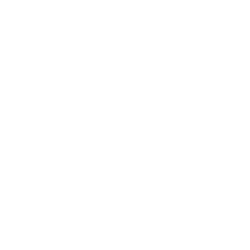 Evolved Digital Marketing Agency Tampa